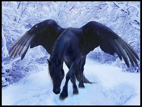 A Black Horse With Large Wings Standing In The Snow