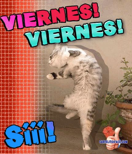Imagenes Hoy Es Viernes Y Tu Cuerpo Lo Sabe Memes  Movimiento Animadas Gratis Pinterest 27