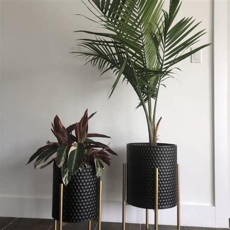 Extra Large Indoor Planters For Trees Ideas On Foter