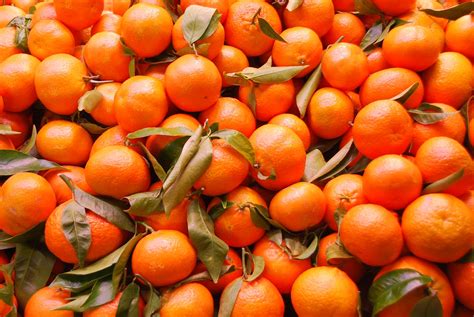 Orange Vegetables Fruits And Colors Pinterest