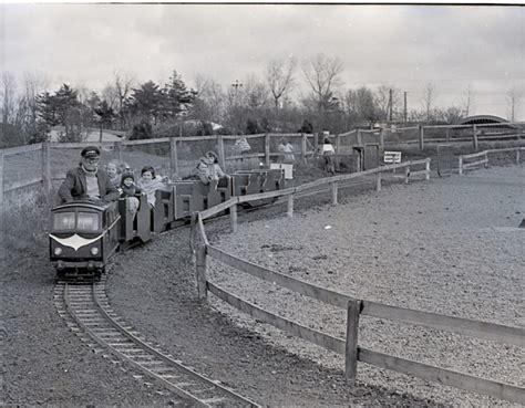 Share Your Memories Of Causeway Safari Park For Upcoming Exhibition At