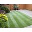 Help No Lawn Stripes In Houston TX  LawnSite™ Is The Largest And