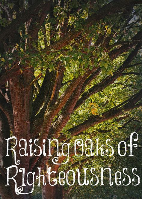 Raising Oaks Of Righteousness The Transformed Wife