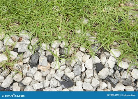 Grass And Rock Stock Photography Image 20824232