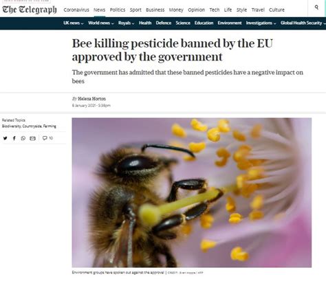 The Telegraph Bee Killing Pesticide Banned By The Eu Approved By The
