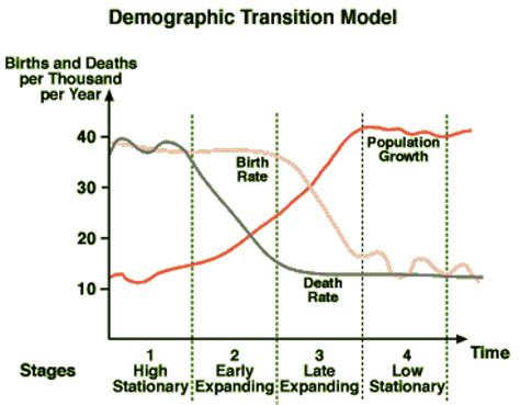 Solved Demographic Transition Model Births And Deaths Per