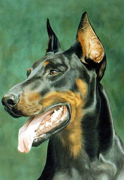 Doberman Dog Portrait Oil Painting On Canvas Peintures De Chien