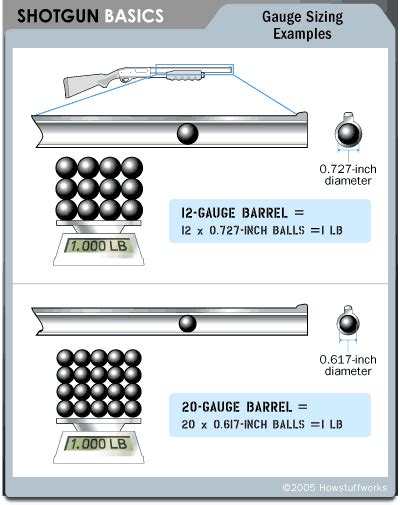 Measuring Up Gauge Vs Caliber How Shotguns Work Howstuffworks