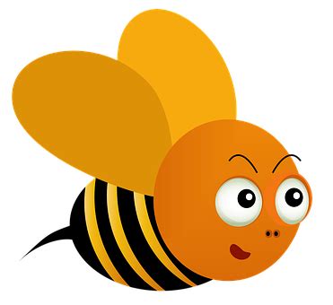 Please to search on seekpng.com. Png Images Animal Clipart Collection