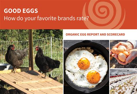 Organic Egg Report And Scorecard Cornucopia Institute