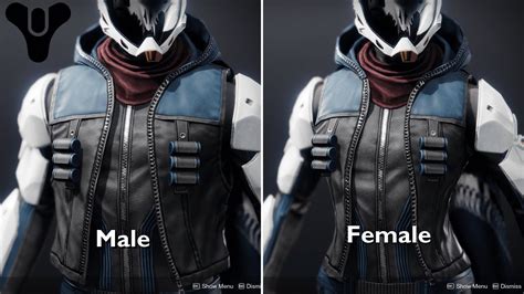 Hunter Armor Comparison Male Vs Female Destiny 2 Youtube