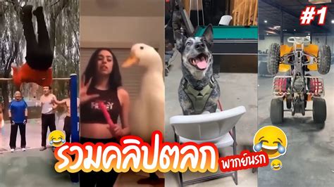 รวมคลิปตลก ฮาๆ ขำๆ พากย์นรก ดูคลิปตลก ดูคลิปเด็ด คลิป tiktok คลิปติ๊กตอก