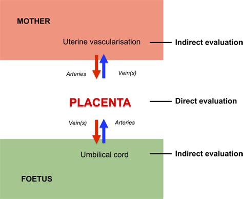2010 pwd form 203a for malaysian government project / public. Non-invasive evaluation of placental blood flow: lessons ...