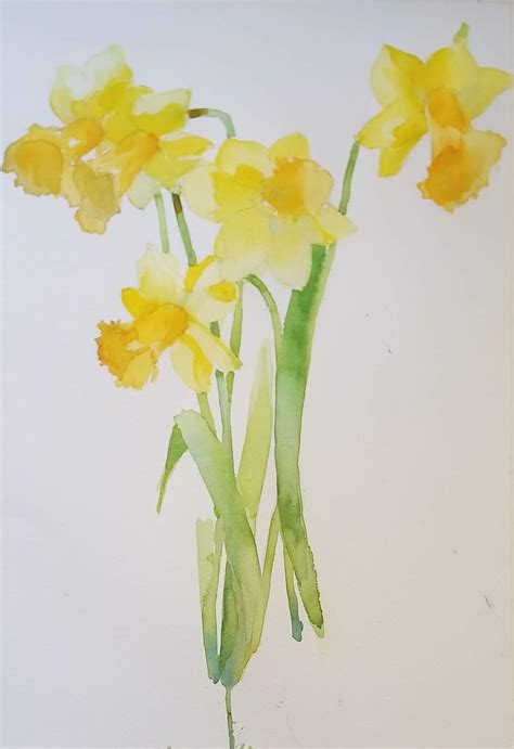 Lauras Watercolors Daffodils 2