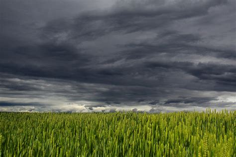 White And Dark Cloud Over Green Grass Field · Free Stock Photo