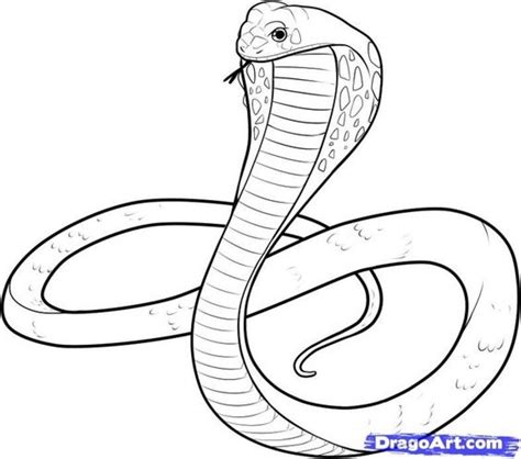 Cobra Coloring Page at GetDrawings | Free download