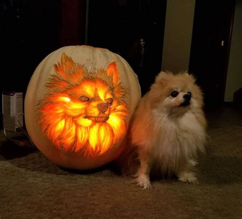 Dog Pumpkin Carving Eyebleach