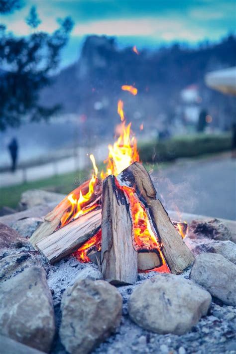 Small Camp Fire With A Pile Of Wood At Bled Stock Image Image Of