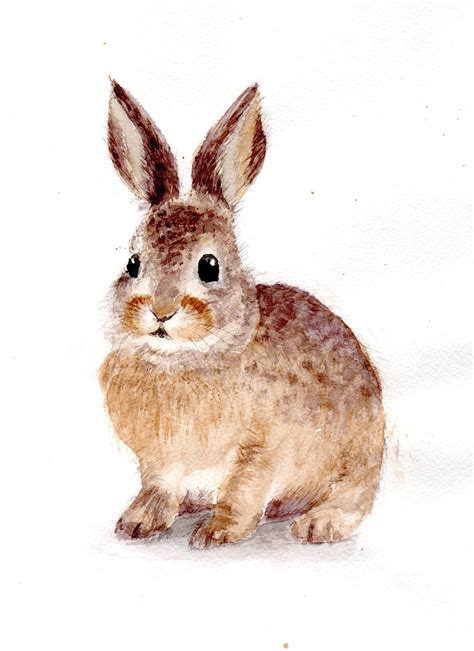 Bunnycottage Bunny Watercolor Bunny Painting Bunny Art