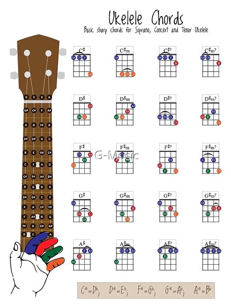 Ukulele Chords Chart Fingering Diagram For Beginners Poster For Sale Sexiz Pix