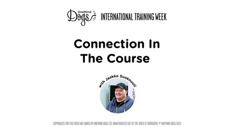 International Training Week Connection In The Course Preview Youtube