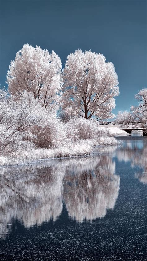 X Lake Winter Trees Nature Hd Snow Ice For Iphone