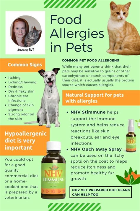 Cat Flea Allergy Home Remedy Scared Portal Ajax