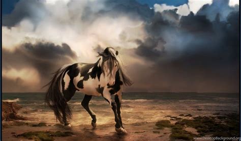 Free Horse Backgrounds Wallpapers Cave Desktop Background