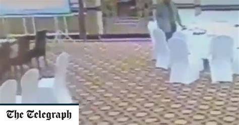 Pakistan Civil Servant Caught On Cctv Stealing Wallet From Visiting