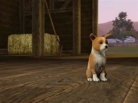 The Sims Resource Muffin The Pembroke Welsh Corgi Puppy
