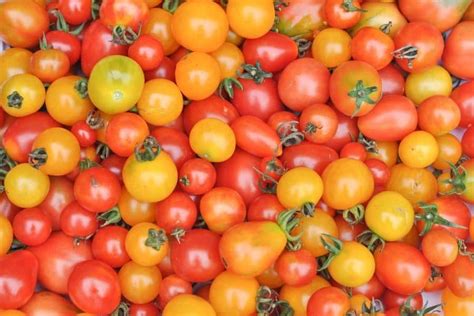 5 Simple And Delicious Ways To Preserve Cherry Tomatoes
