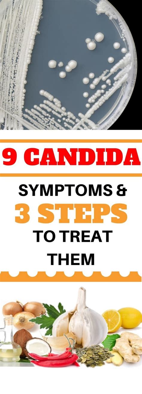 9 Candida Symptoms And 3 Steps To Treat Them Candida Symptoms Candida