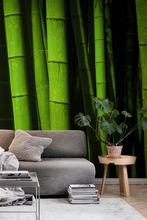 Bamboo Forest Wallpaper Forest Wall Mural Bamboo Wall Forest Wallpaper