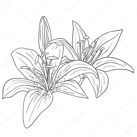 See more ideas about plant drawing, flower drawing, drawings. Tropical Flowers Drawing at GetDrawings | Free download