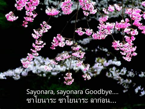 Sayonara Japanese goodbye | Japanese cherry blossom, Japanese sakura, Japanese