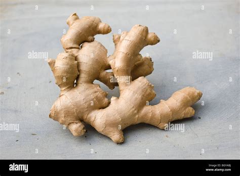 Ginger Root Stock Photo Alamy