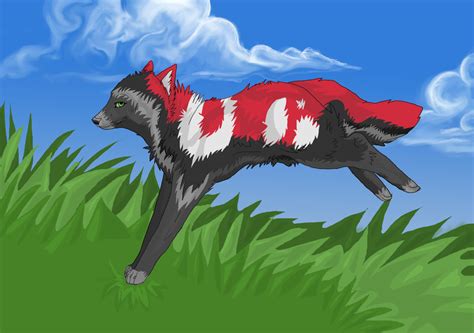 Derp Wolf Has No Name Yet By Foloit On Deviantart