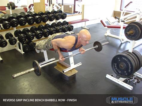 Reverse Grip Incline Bench Barbell Row Video Exercise Guide And Tips