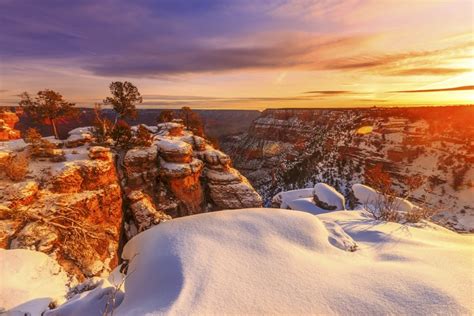 6 Reasons To Visit The Grand Canyon In Winter Xanterra Travel Collection®