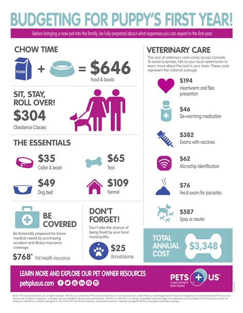 Budgeting for a New Puppy (Infographic) | Pets Plus Us