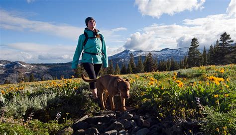 Essential Tips For A Safe And Enjoyable Hike Hiking Women Hiking