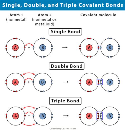 Single Covalent Bond Definition And Examples