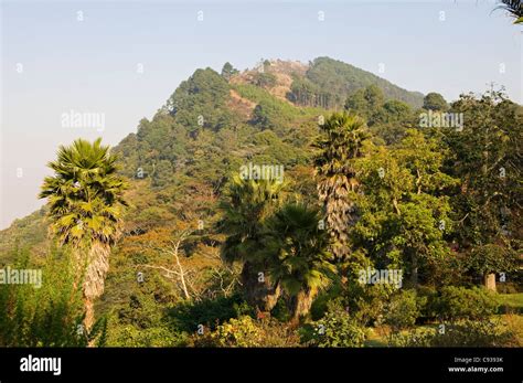 Malawi Zomba View From The Exotic Gardens Of Ku Chawe Inn Towards