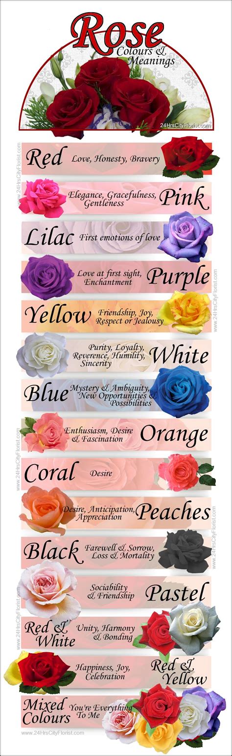 Rose Colours And Meanings