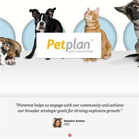 Petplan has been offering insurance coverage for dogs and cats for more than 14 years. Come learn about how the world's largest pet insurer, Petplan, is connecting with communities ...