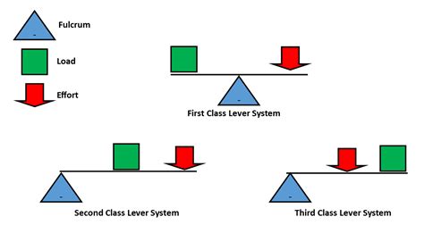 First Second And Third Class Lever System Graphic Oer Commons All In