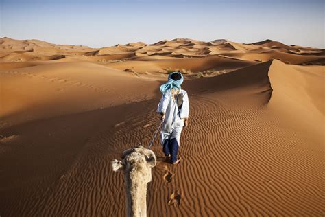 √ What Is The Average Temperature In The Sahara Desert