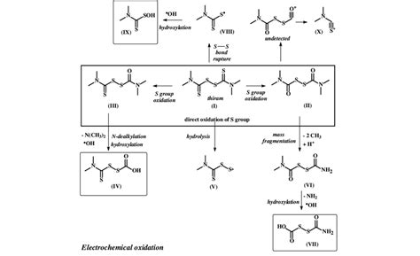 Proposed Mechanism Of Degradation For The Electrochemical Oxidation Of