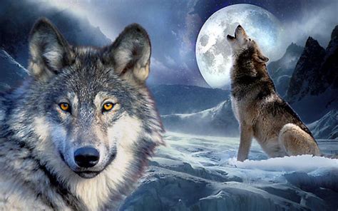 44 Native American Wolf Wallpaper Free On Wallpapersafari