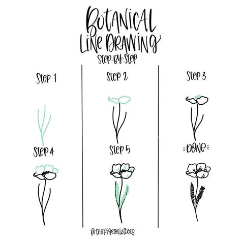 Botanical Drawing Tutorial How To Draw Botanical Drawings Brandma
